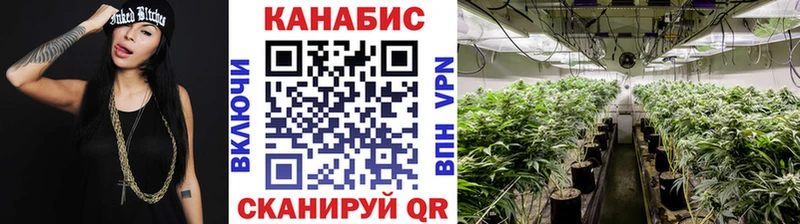 Где купить наркотики Невьянск Alpha-PVP Амфетамин Гашиш Бошки Шишки Экстази Мефедрон
