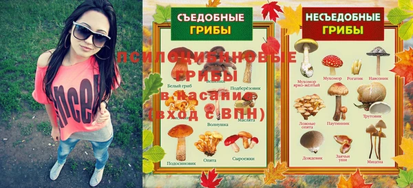 сатива Алексеевка