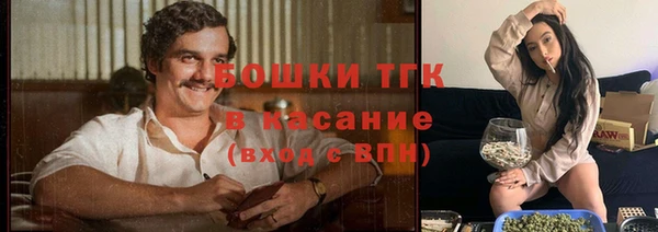 сатива Алексеевка