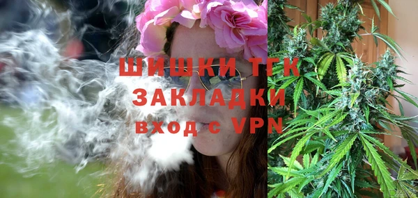 сатива Алексеевка