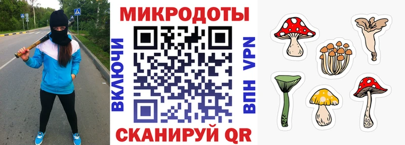 Псилоцибиновые грибы GOLDEN TEACHER  Невьянск 